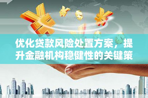 延吉优化贷款风险处置方案，提升金融机构稳健性的关键策略