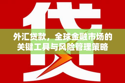 延吉外汇贷款，全球金融市场的关键工具与风险管理策略