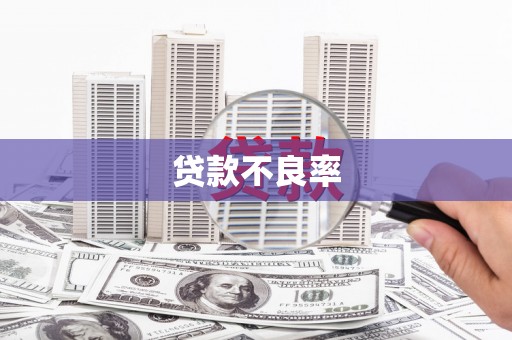 延吉贷款不良率