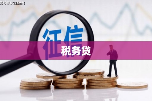 延吉税务贷