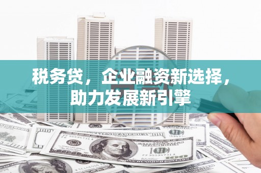 延吉税务贷，企业融资新选择，助力发展新引擎