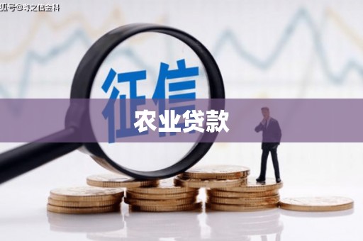 延吉农业贷款