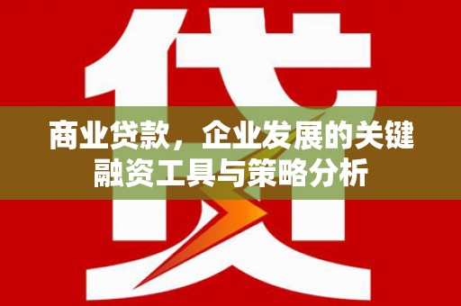 延吉商业贷款，企业发展的关键融资工具与策略分析