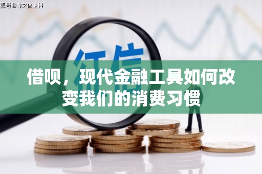 延吉借呗，现代金融工具如何改变我们的消费习惯