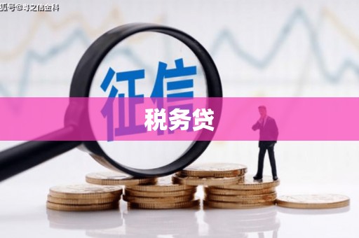 延吉税务贷