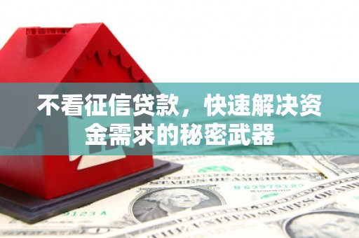 延吉不看征信贷款，快速解决资金需求的秘密武器