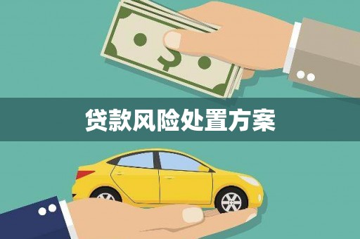 延吉贷款风险处置方案
