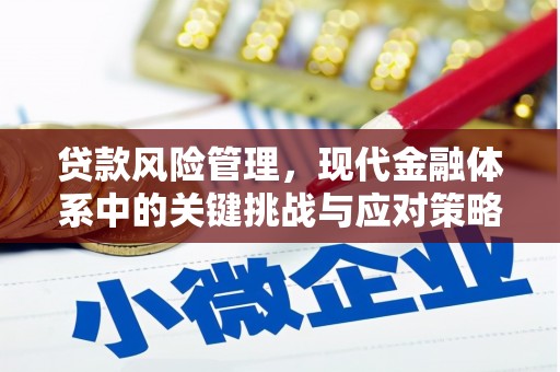 延吉贷款风险管理，现代金融体系中的关键挑战与应对策略