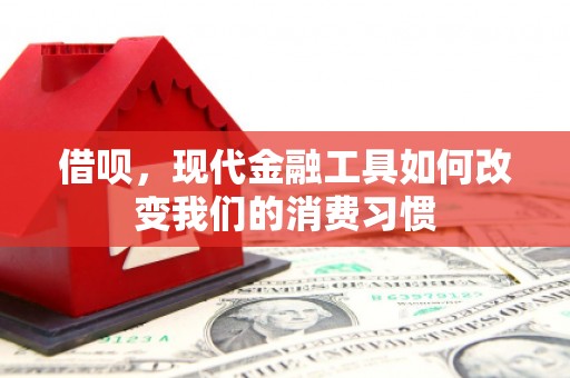 延吉借呗，现代金融工具如何改变我们的消费习惯