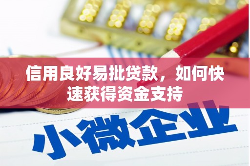 延吉信用良好易批贷款，如何快速获得资金支持