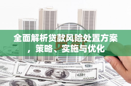 延吉全面解析贷款风险处置方案，策略、实施与优化