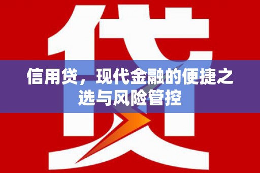 延吉信用贷，现代金融的便捷之选与风险管控