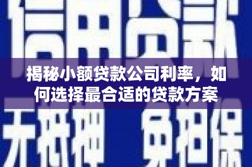 延吉揭秘小额贷款公司利率，如何选择最合适的贷款方案
