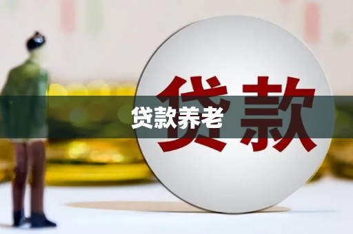 延吉贷款养老