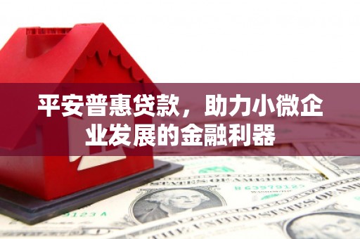 延吉平安普惠贷款，助力小微企业发展的金融利器