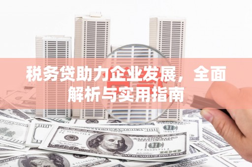 延吉税务贷助力企业发展，全面解析与实用指南