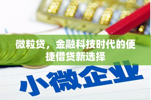 延吉微粒贷，金融科技时代的便捷借贷新选择
