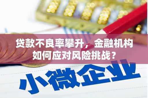 延吉贷款不良率攀升，金融机构如何应对风险挑战？