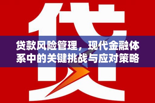 延吉贷款风险管理，现代金融体系中的关键挑战与应对策略