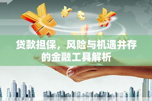 延吉贷款担保，风险与机遇并存的金融工具解析