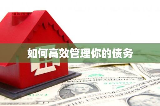 延吉如何高效管理你的债务
