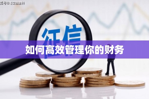 延吉如何高效管理你的财务