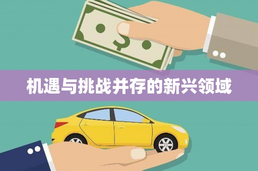 延吉机遇与挑战并存的新兴领域