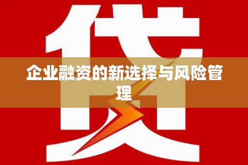 延吉企业融资的新选择与风险管理